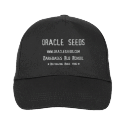 Gorra Oracle Seeds