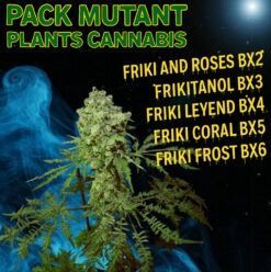 Pack Bx Mutantes REGULARES